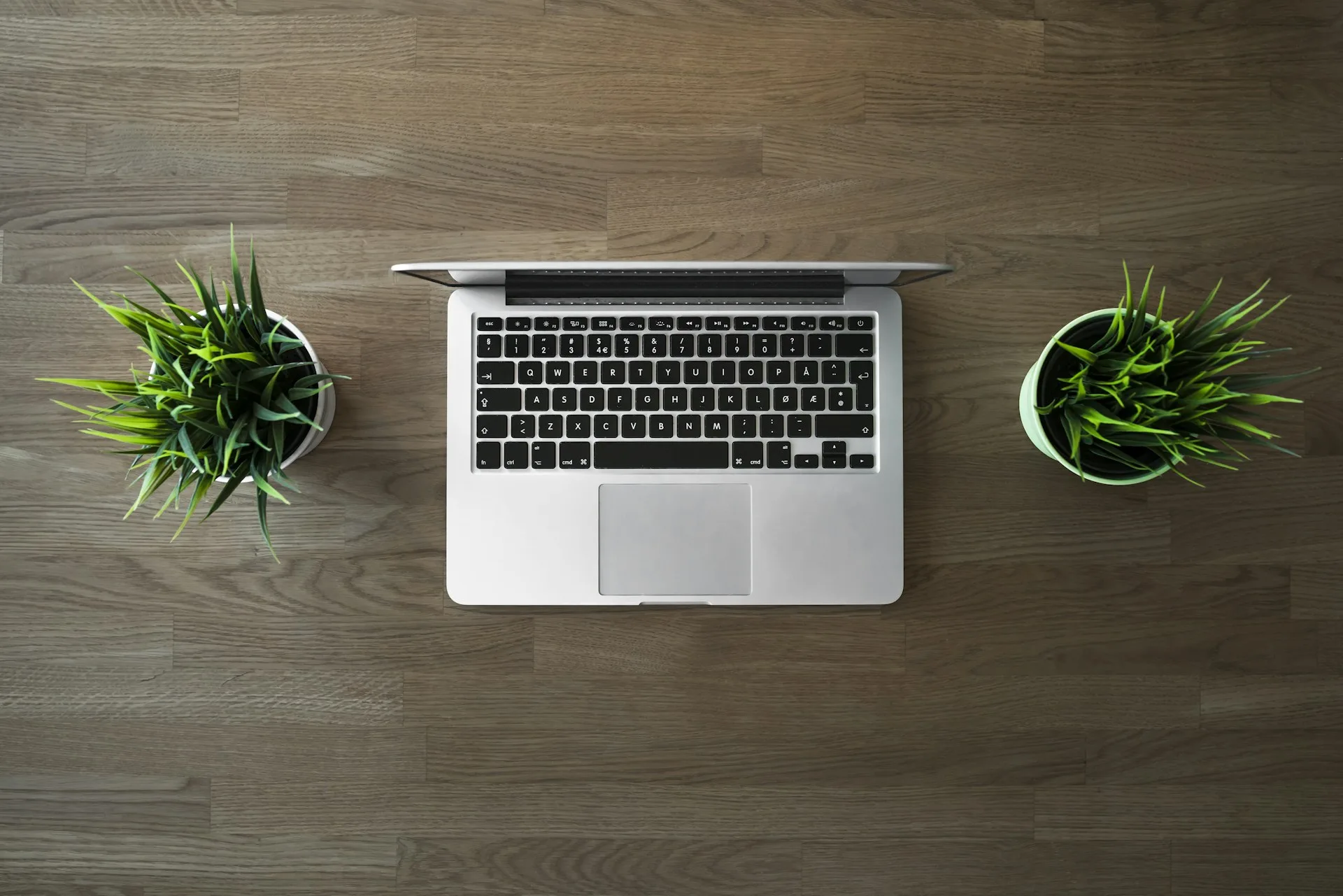 Ordinateur portable sur un bureau en bois, entouré de plantes vertes